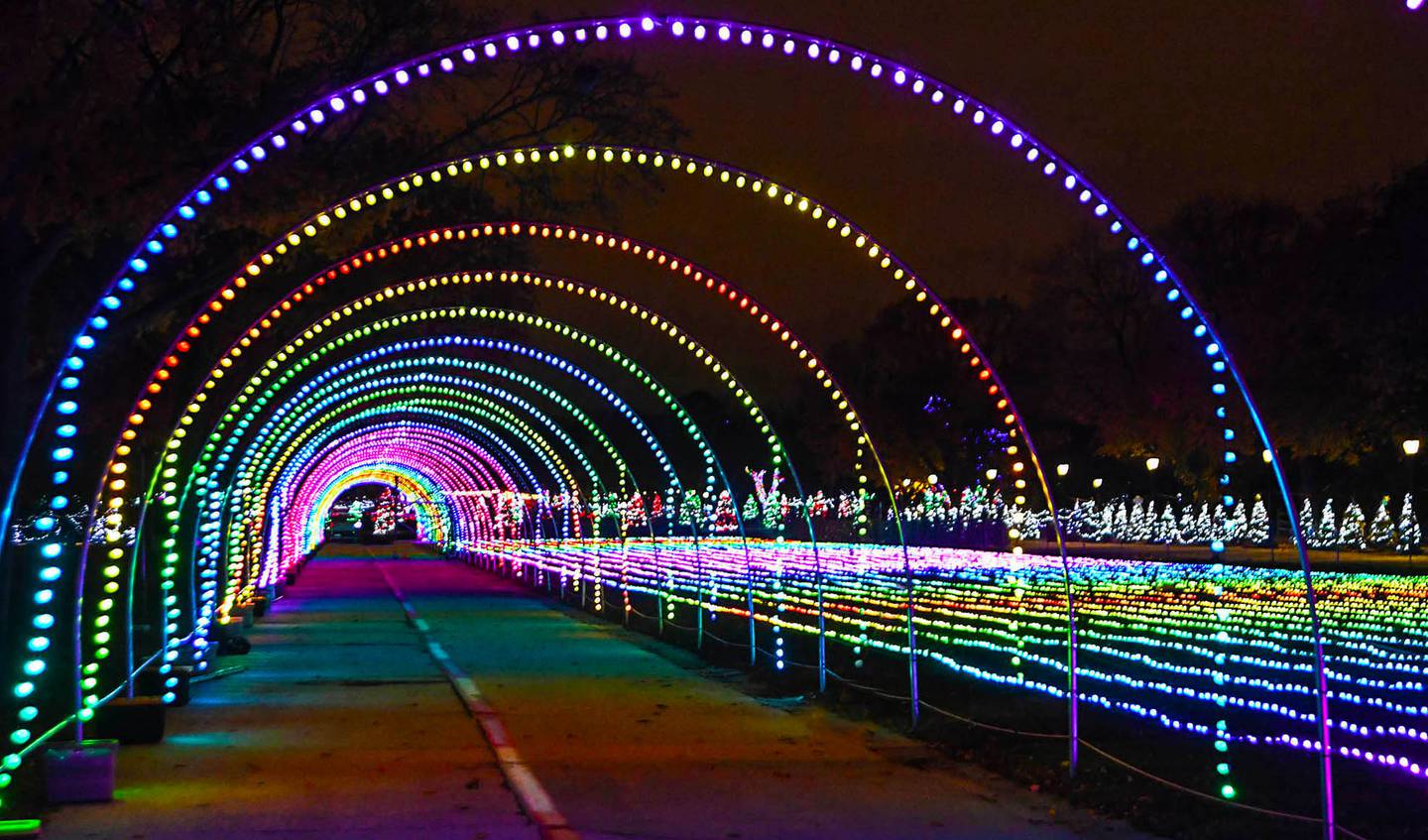 Discover ‘Holiday Magic’ at Brookfield Zoo The First Hundred Miles