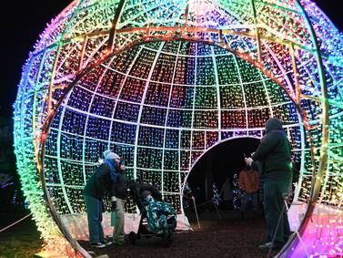 Discover Holiday Magic® Along Route 66 At The Brookfield Zoo