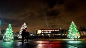 Discover Holiday Magic along Route 66 at Brookfield Zoo