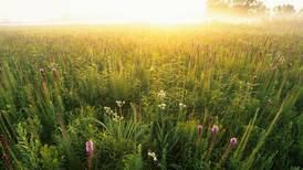 Explore Parks and Prairie Along The First Hundred Miles