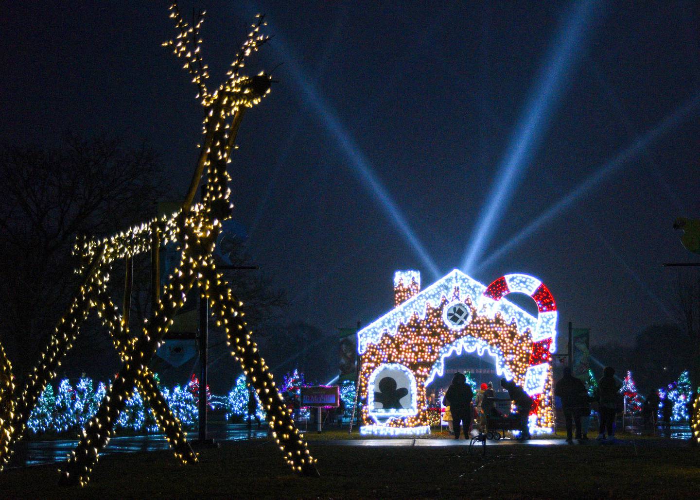 Brookfield Zoo holiday lights