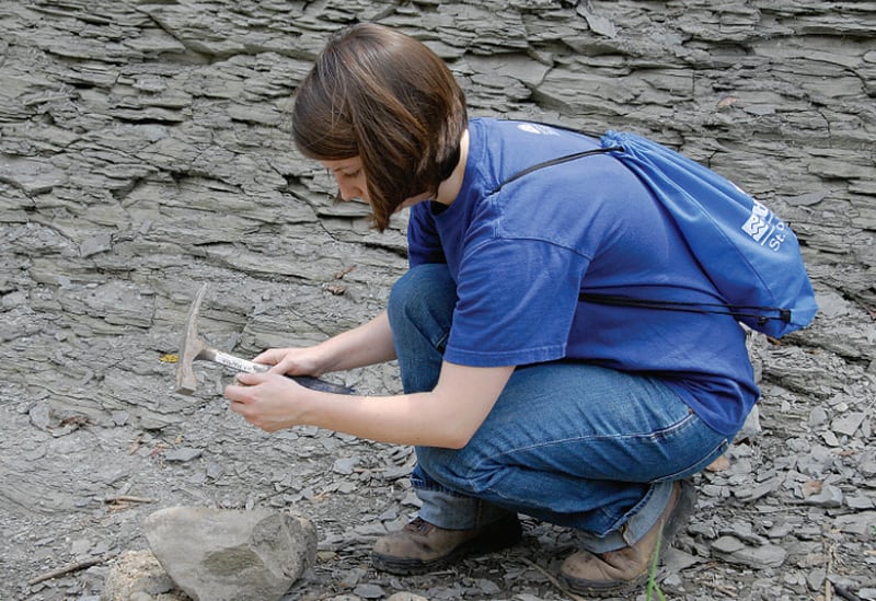 Mazonia-Braidwood State Fish and Wildlife Area is home to some of the best public fossil hunting in the nation, located just off of The First Hundred Miles of Route 66. 

Photo provided by Heritage Corridor Destinations