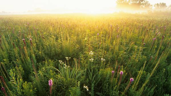 Explore Parks and Prairie Along The First Hundred Miles